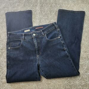 Pilcro The Demilune Bootcut Jeans Size 31